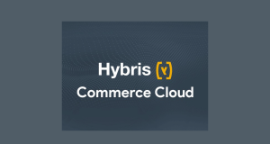 Unleashing the Power of SAP Hybris_ A Comprehensive Guide