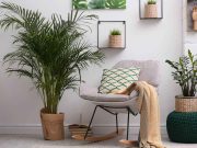 4 Tech Ways Your Home Can Be More Sustainable
