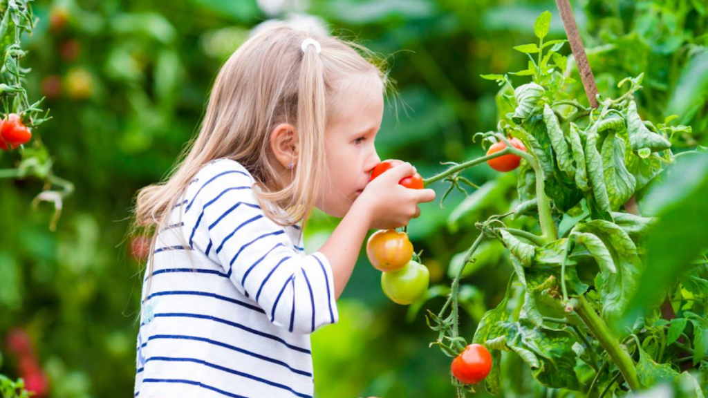 Gardening in the Cold Tips for Growing Winter Fruits and Vegetables