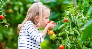 Gardening in the Cold Tips for Growing Winter Fruits and Vegetables