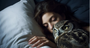 Night Owls and Early Birds The Impact of Sleep Patterns on Health