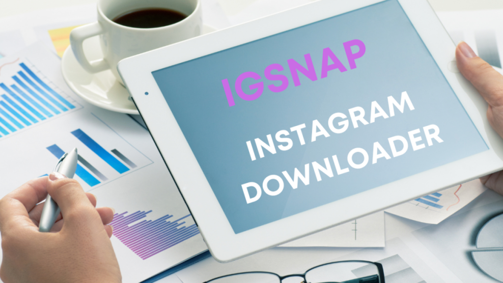 Igsnap Elevating Your Instagram Experience with Seamless Video Downloads and Story Viewing