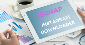 Igsnap Elevating Your Instagram Experience with Seamless Video Downloads and Story Viewing