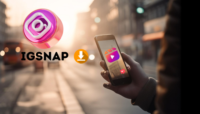 The Best Instagram Downloader Tool: A Professional Insight into Igsnap