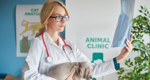 What is Your Veterinary Clinic Worth?