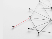 Exploring the Importance and Effectiveness of Expert Networks in Business: A Showcase by the Silverlight Expert Network Exploring the Importance and Effectiveness of Expert Networks in Business A Showcase by the Silverlight Expert Network