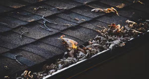 5 Tell-Tale Signs that it’s Maybe Time for Gutter Replacement