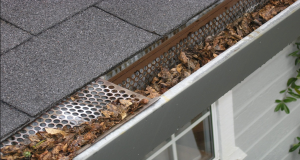6 Tips to Make Clearing Your Gutters Safe and Easy