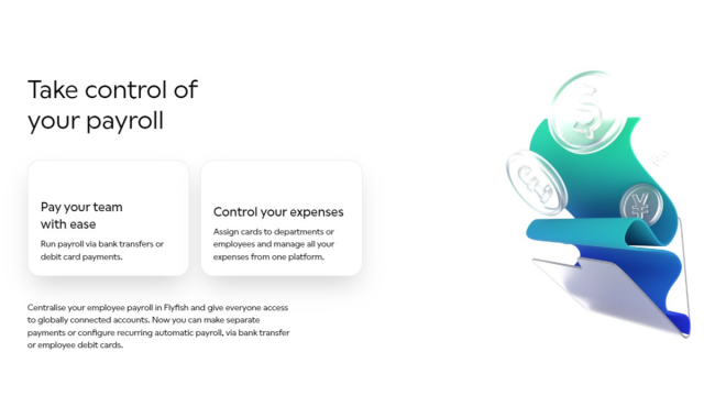 Flyfish Review – a Financial Management Service that Offers Corporate IBAN Solutions