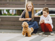 Dog Breeds That Are Perfect for Children Dog Breeds That Are Perfect for Children