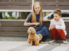 Dog Breeds That Are Perfect for Children