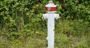 Fire alarm company Essex - how do you choose the best company to protect your business?