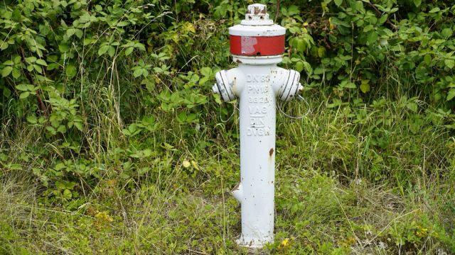 Fire alarm company Essex - how do you choose the best company to protect your business?