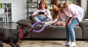 Tips on Choosing the Right Pet Toy