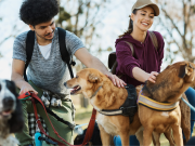 How Dog Walker Insurance Can Help in Case of Accidents