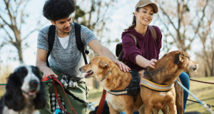 How Dog Walker Insurance Can Help in Case of Accidents