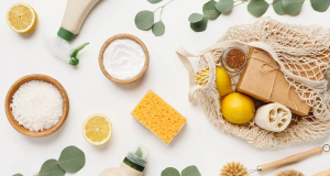 5 Earth-Friendly Items You Should Have in Your Home