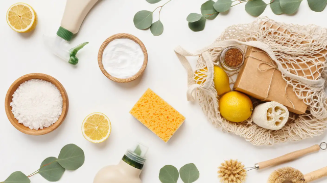5 Earth-Friendly Items You Should Have in Your Home