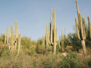 Image 1 of What Are the Top AHCCCS Rehab Centers in Arizona?