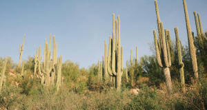 Image 1 of What Are the Top AHCCCS Rehab Centers in Arizona?