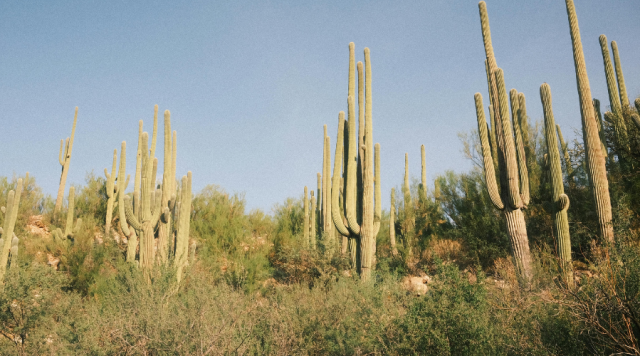 What Are the Top AHCCCS Rehab Centers in Arizona? Image 1 Image 1 of What Are the Top AHCCCS Rehab Centers in Arizona?