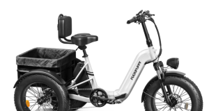 Image 1 of Three Wheels vs. Two: Which E-Bike is Truly Better for You?
