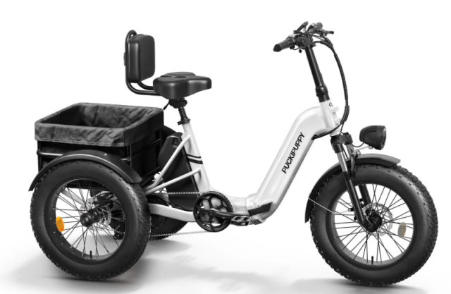 Three Wheels vs. Two: Which E-Bike is Truly Better for You? Image 1 Image 1 of Three Wheels vs. Two: Which E-Bike is Truly Better for You?