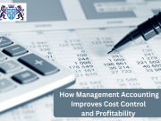 Image 1 of How Management Accounting Improves Cost Control and Profitability