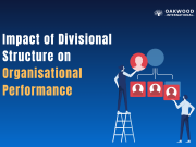 Image 1 of Impact of Divisional Structure on Organisational Performance