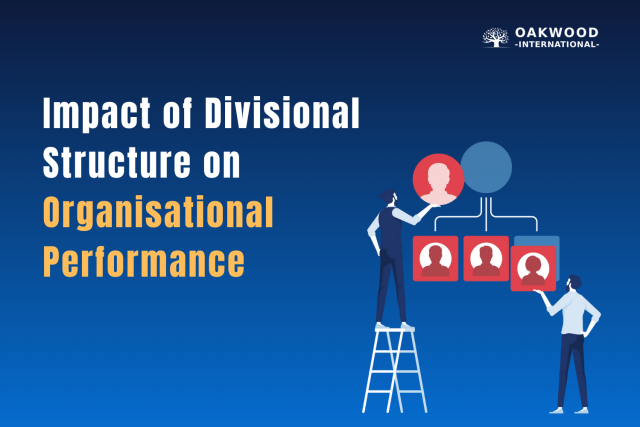 Image 1 of Impact of Divisional Structure on Organisational Performance