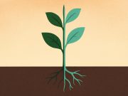 Butterfly emerging from its chrysalis, symbolizing personal growth and embracing current self