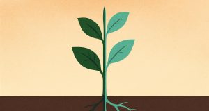 Butterfly emerging from its chrysalis, symbolizing personal growth and embracing current self