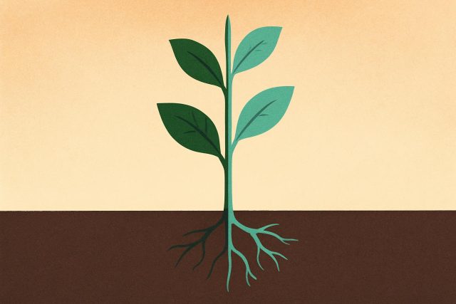 Butterfly emerging from its chrysalis, symbolizing personal growth and embracing current self