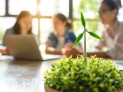 Image 1 of Site: https://www.tapscape.com/