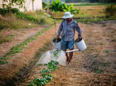 HOW YOU CAN SPONSOR SKILLED FOREIGN WORKERS IN FAIRFIELD