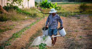 HOW YOU CAN SPONSOR SKILLED FOREIGN WORKERS IN FAIRFIELD