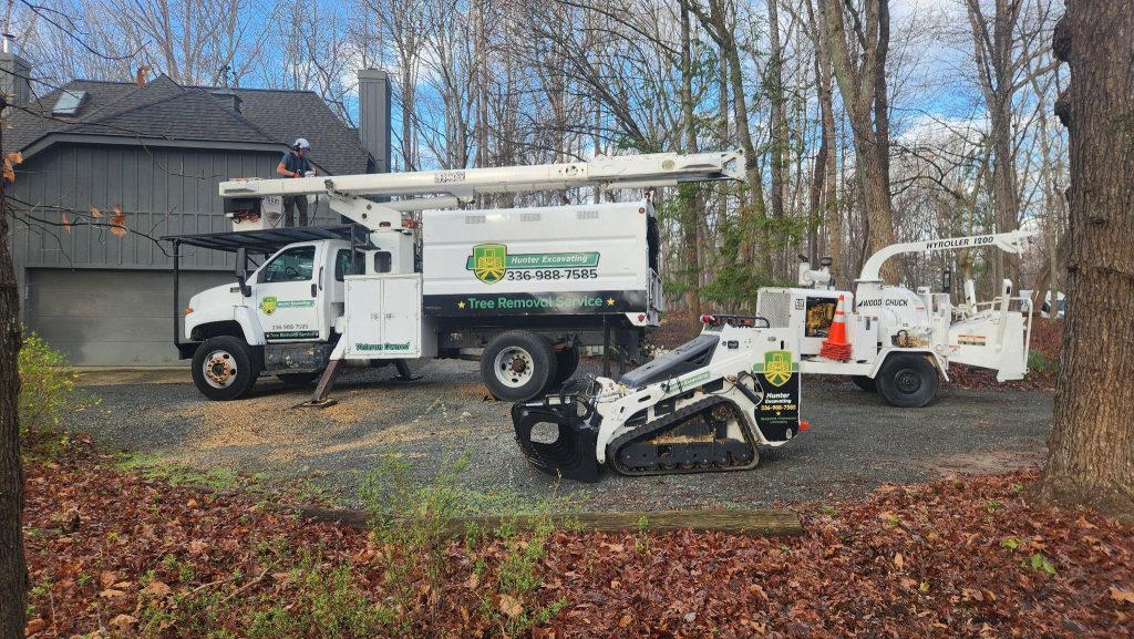 Image 1 of The Real Cost of Tree Removal in Durham, NC: A 2026 Breakdown by Species, Size, and Lot Access