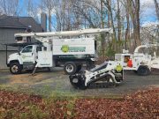 Image 1 of The Real Cost of Tree Removal in Durham, NC: A 2026 Breakdown by Species, Size, and Lot Access