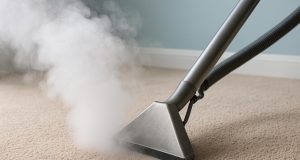 Professional steam cleaner deep cleaning a carpet, removing dirt and stains for a refreshed look