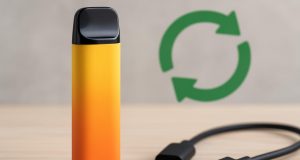 Rechargeable disposable vape design highlighting USB charging port and modern vaping device