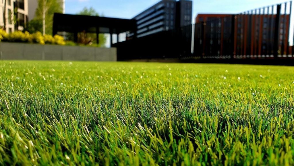 Image 1 of How Does the Right Lawn Care Routine Make a Visible Difference Fast?