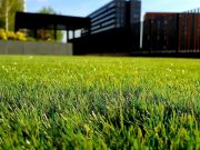 How Does the Right Lawn Care Routine Make a Visible Difference Fast? Image 1 of How Does the Right Lawn Care Routine Make a Visible Difference Fast?